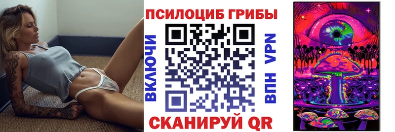 Галлюциногенные грибы Psilocybe  купить наркоту  Вельск 