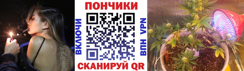 Марихуана OG Kush  цена   Вельск 